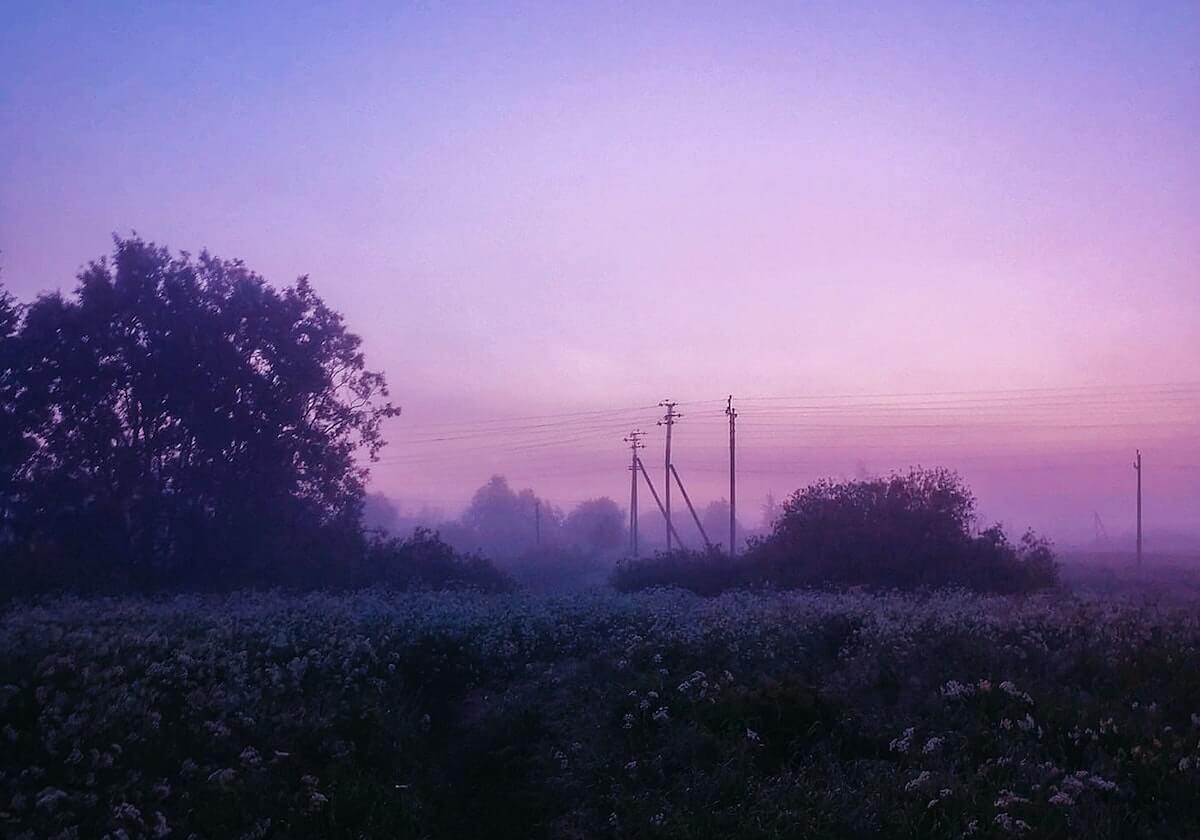 MK体育平台：让体育梦在指尖起航的一站式体验